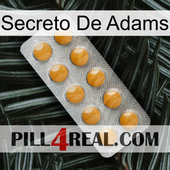 Adams Secret levitra1.jpg